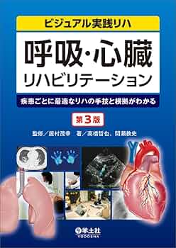 入門！呼吸理学療法～臨床現場で役立つ評価方法と基本手技～（全２枚・分売不可） 入門！呼吸理学療法 〜臨床現場で役立つ評価方法と基本手技